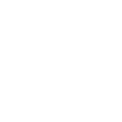 Bus and bicycle